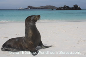 The Galapagos Islands