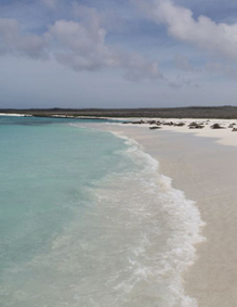 Galapagos